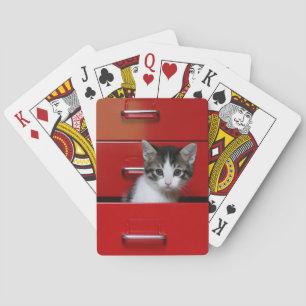 Baralho Espreitar do gatinho