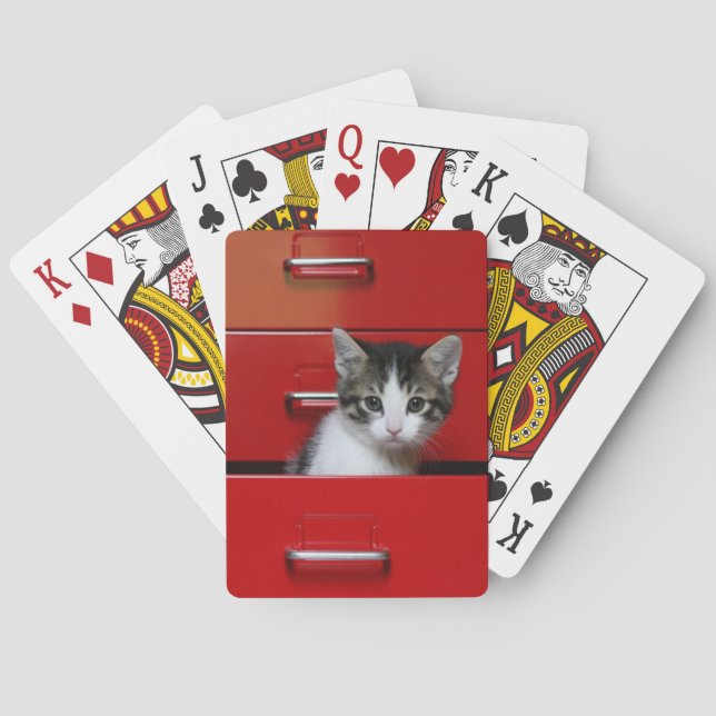 Baralho Espreitar do gatinho (Verso)