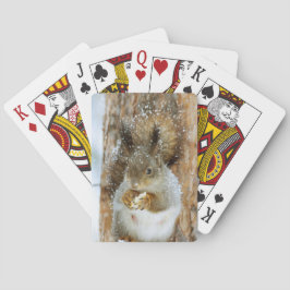 Baralho Esquilo bonito numa paisagem de inverno