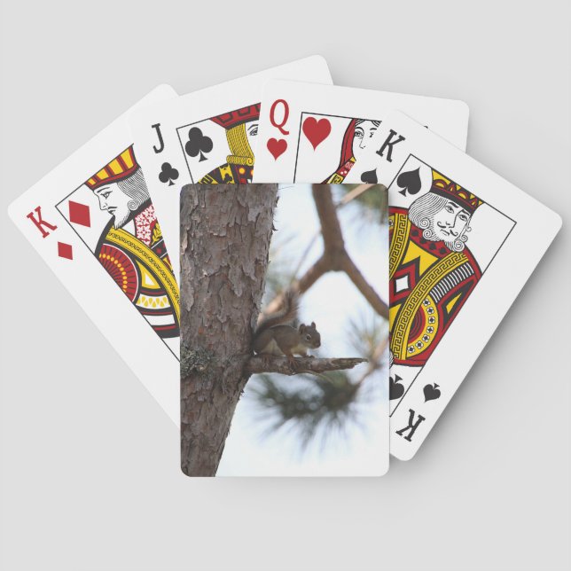 Baralho Esquilo em um Pinheiro Jogando Cartas (Verso)