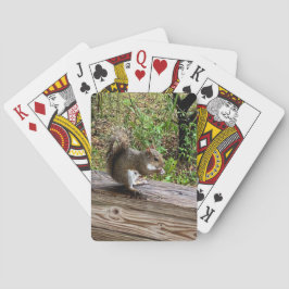 Baralho Esquilo famoso