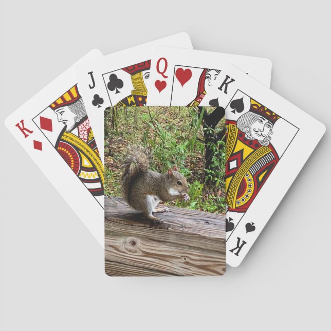 Baralho Esquilo famoso (Verso)