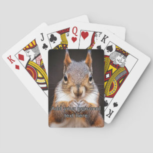 Baralho Esquilo olhando suas cartas de jogo