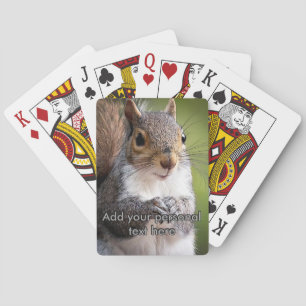Baralho Esquilo olhando suas cartas de jogo