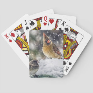 Baralho Estou de olho em você