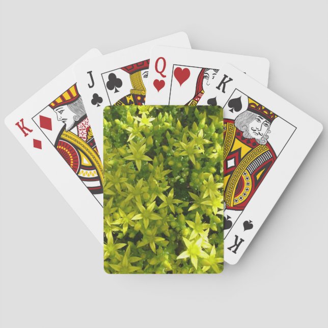 Baralho estrela verde como flores plantas aromáticas (Verso)