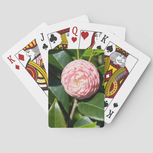 Baralho EUA, Alabama, Theodore perto de Mobile (Verso)