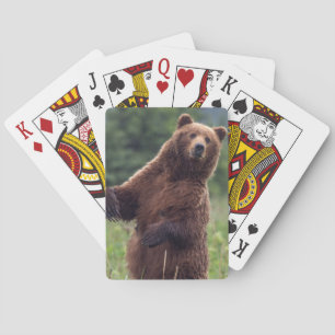 Baralho EUA, Alaska do sudeste, urso de Brown e filhote