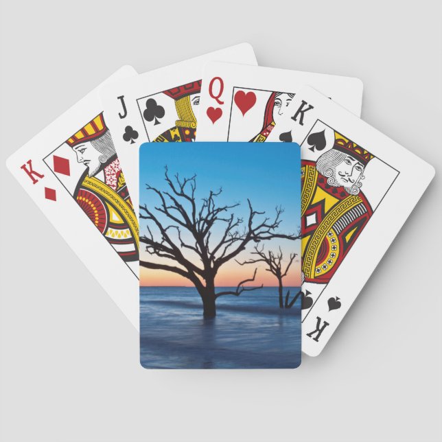 Baralho EUA, Carolina do Sul, Edisto Island, Botany Bay (Verso)