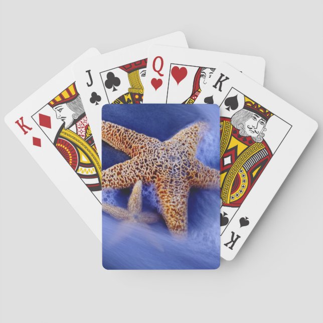 Baralho EUA, Carolina do Sul, Ilha Hilton Head.Dois (Verso)