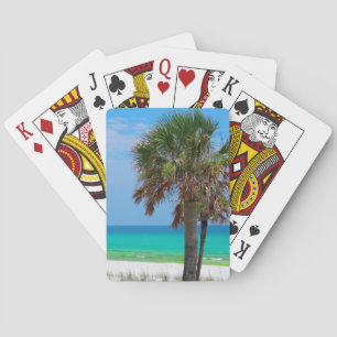 Baralho EUA, Flórida. Palmeiras Na Costa Esmeralda