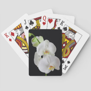 Baralho EUA, Geórgia, Savannah, Conjunto de Orquídeas