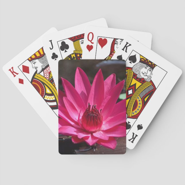 Baralho EUA, Kansas, Bright Red Water Lilly (Verso)