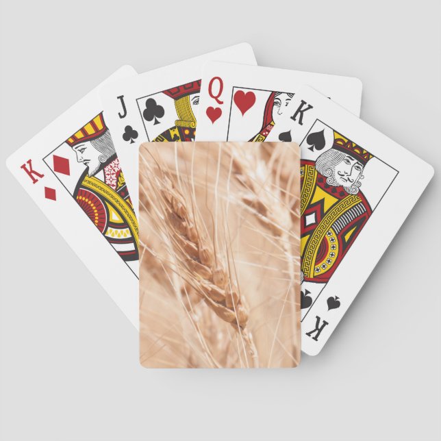 Baralho EUA, Kansas, trigo no tempo de colheita (Verso)