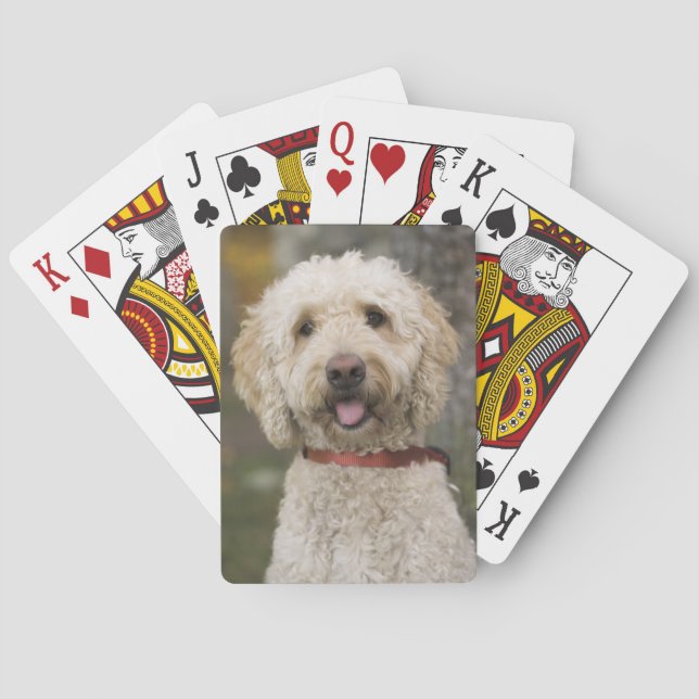 Baralho EUA, Nova Inglaterra, Massachusetts, Reading, (Verso)