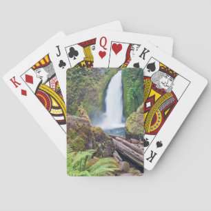 Baralho EUA, Oregon, Columbia River Gorge, Wahclella