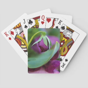 Baralho EUA, Pensilvânia. Botão do ventilador abrindo no p