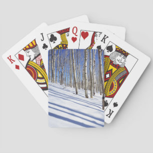 Baralho EUA, Utah, Floresta Nacional Dixie, Aspen Grove