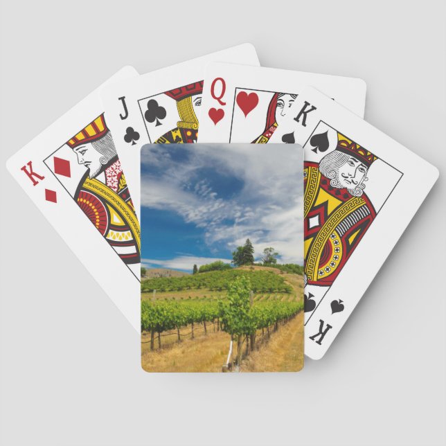 Baralho EUA, Washington, Lago Chelan. Vinhedo 3 (Verso)