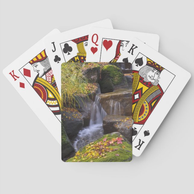 Baralho EUA, Washington, Seattle (Verso)