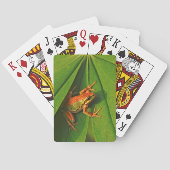 Baralho EUA, Washington, Seattle, Discovery Park 2 (Verso)