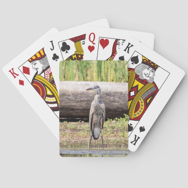 Baralho Excelente Blue Heron no lago Champlain (Verso)