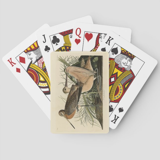 Baralho Excelente Marbled Godwit - Pássaros da América de  (Verso)