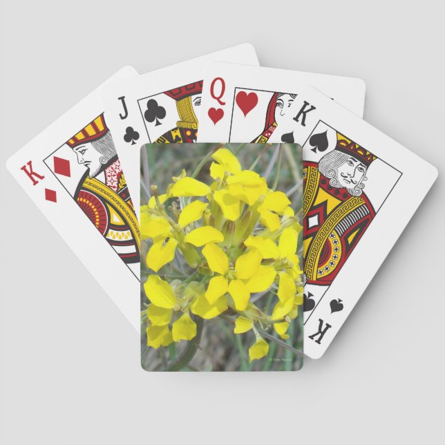 Baralho F14 Flores Silvestres Amarelas (Verso)