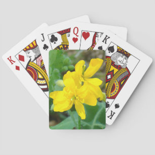 Baralho F44 Flores Silvestres Amarelas Mostarda Selvagem