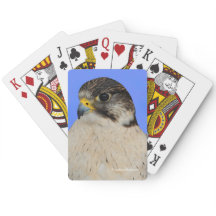 Falcão Híbrido Giro-Falcão Incrível