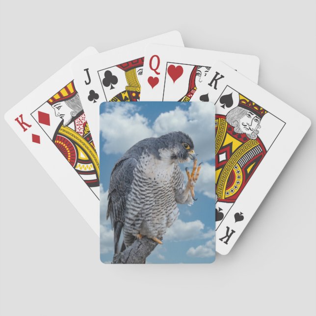 Baralho Falcão Peregrine ao longo do rio Hudson (Verso)