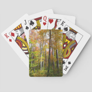 Baralho Fall Forest I Autumn Landscape Photoshop