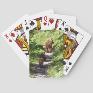 Baralho Família Brown Bear