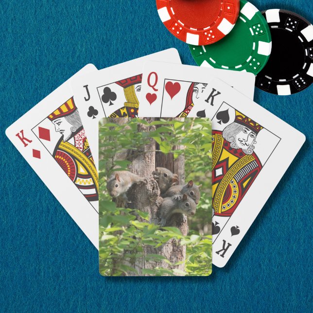 Baralho Família de Esquilo Bonito em Fotografia Primavera (A funny squirrel family peeks out of a leafy tree on these playing cards. A great stocking stuffer!)