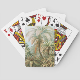 Baralho Ferns, Filicinae Laubfarne por Ernst Haeckel