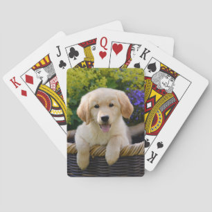 Baralho Filhote de cachorro bonito de encantamento de