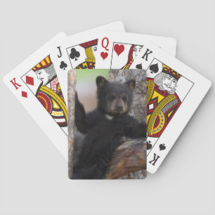Baralho Filhote de Urso Negro Relaxando