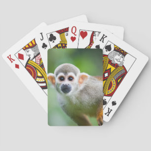 Baralho Fim-acima de um macaco de esquilo comum
