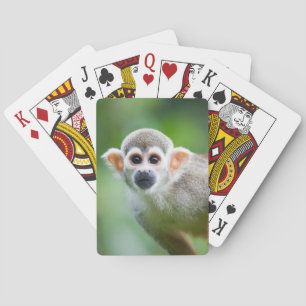 Baralho Fim-acima de um macaco de esquilo comum