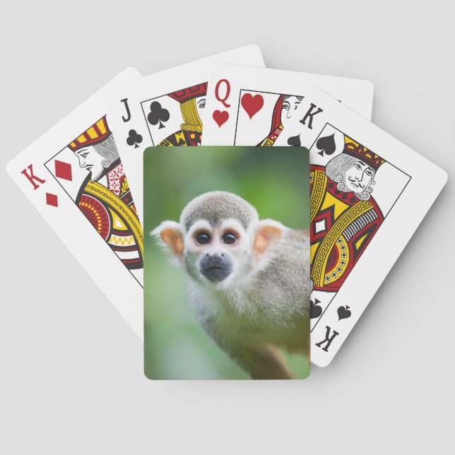 Baralho Fim-acima de um macaco de esquilo comum (Verso)