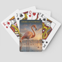 Flamingo Americano Laguna Costeira POKER de ANIMAI