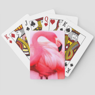 Baralho Flamingo Rosa