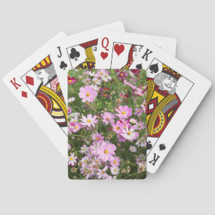 Baralho Flor Cosmos (Bidens Formosa). Kirkwood