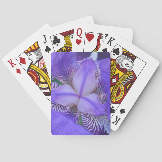 Baralho Flor de Íris Roxa Azul (Verso)