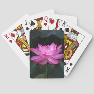 Baralho Flor de Lotus