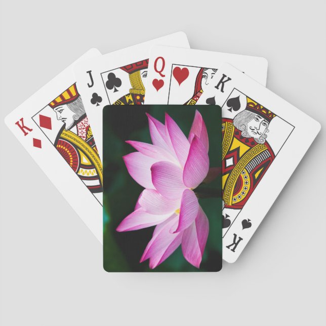 Baralho Flor de Lotus Rosa (Verso)