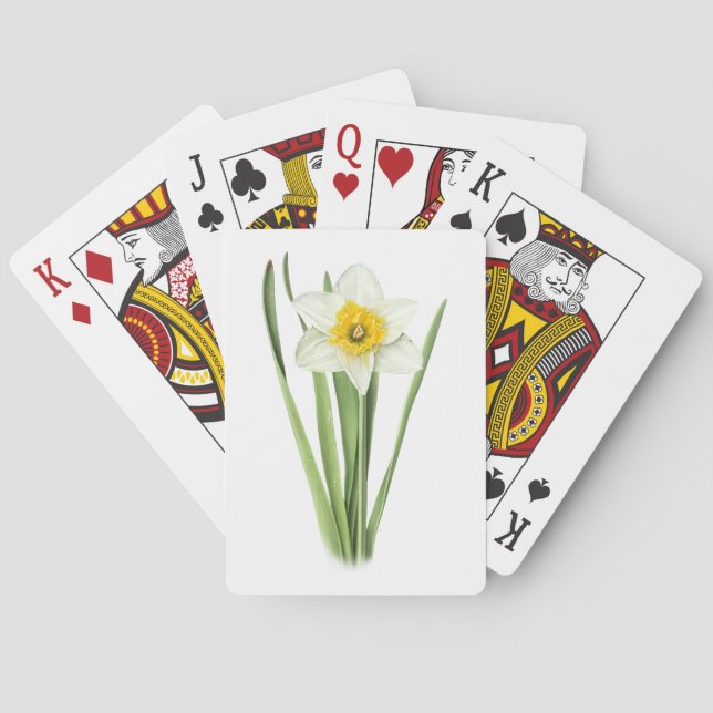 Baralho Flor de Narciso (Verso)