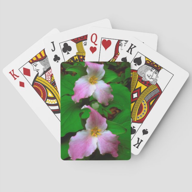 Baralho Flor de Trillium (Verso)