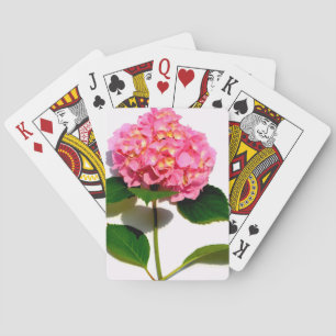 Baralho Flor rosa, cor-de-rosa, hydrangea, cor-de-rosa