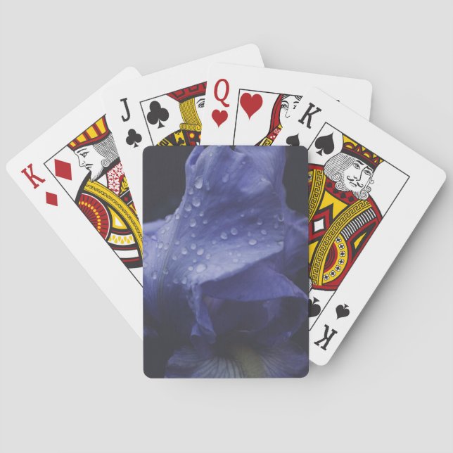 Baralho Flor Rosa púrpura (Verso)